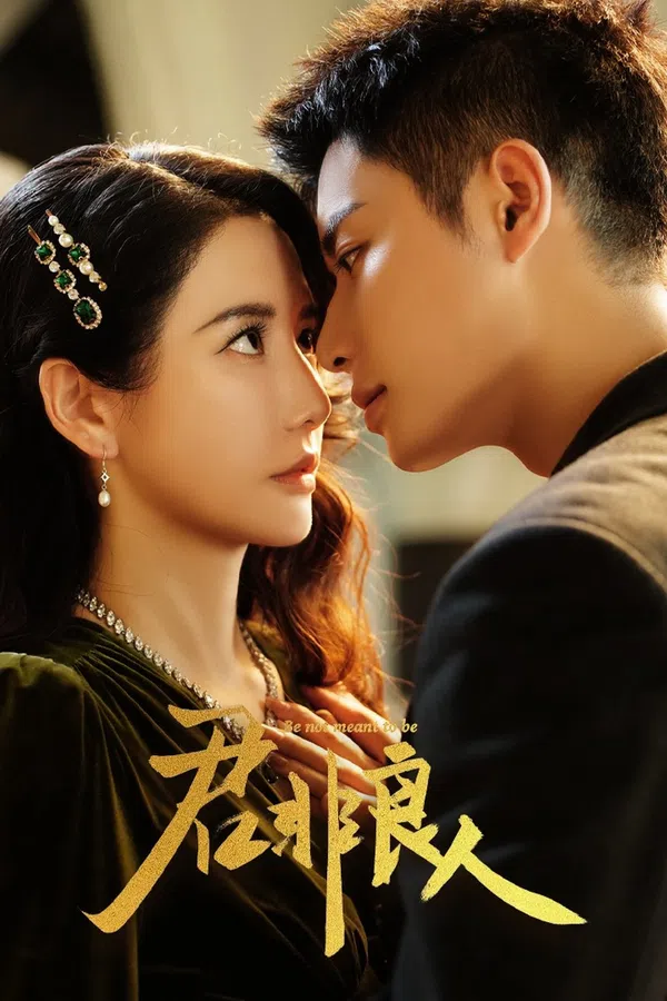 Poster phim Chàng Không Phải Người Tốt trên Motchill