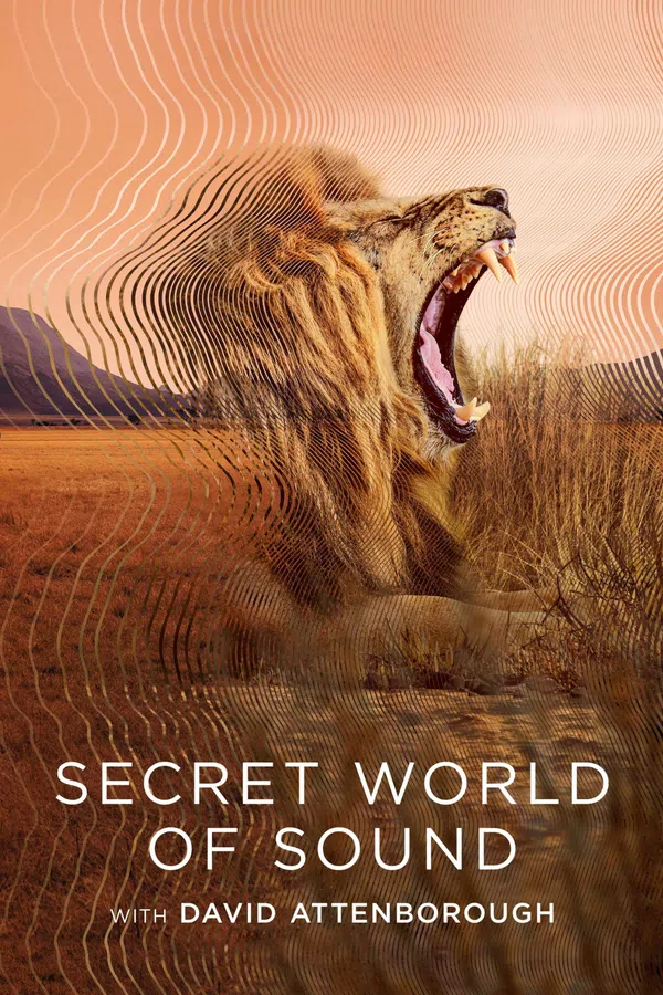 Poster phim David Attenborough: Thế giới bí mật của âm thanh trên Motchill
