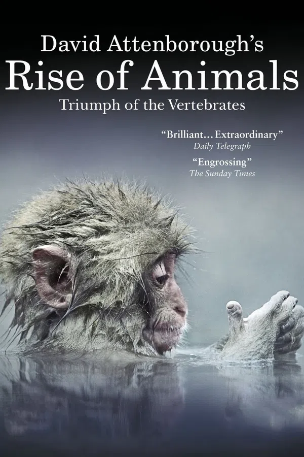 Poster phim David Attenborough's Rise of Animals: Triumph of the Vertebrates trên Motchill