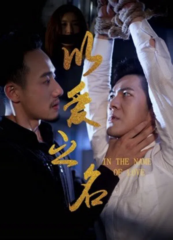 Poster phim Nhân Danh Tình Yêu trên Motchill