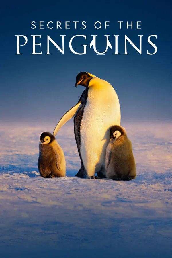 Poster phim Secrets of the Penguins trên Motchill