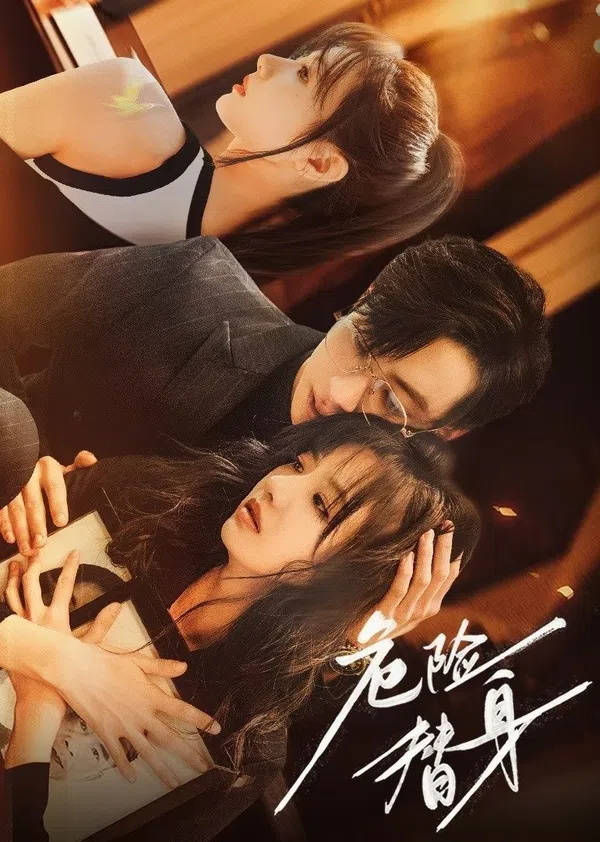 Poster phim Thế Thân Nguy Hiểm trên Motchill